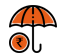 Ipru Icon